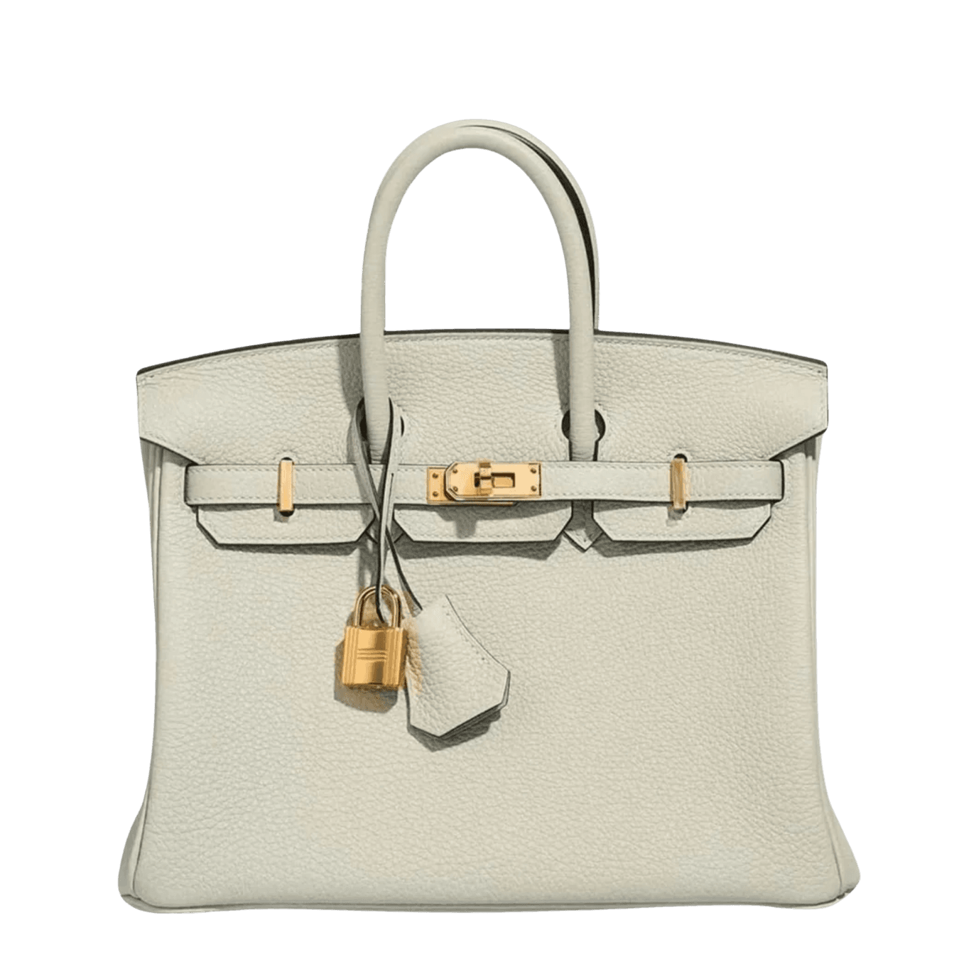Hermès Birkin 25 Togo Gris Neve Togo · Gris Neve · Gold hardware