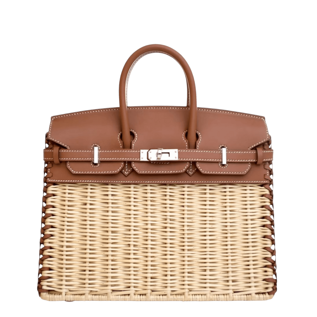 Hermès Birkin 25 Picnic Swift · Gold · Palladium hardware