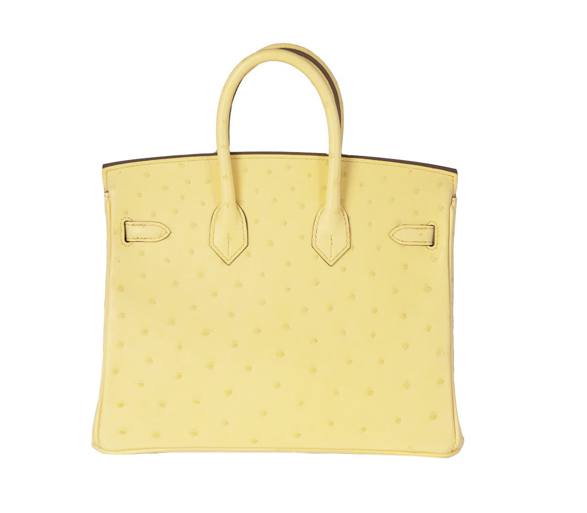 hermes-birkin-25-limoncello-ostrich-back