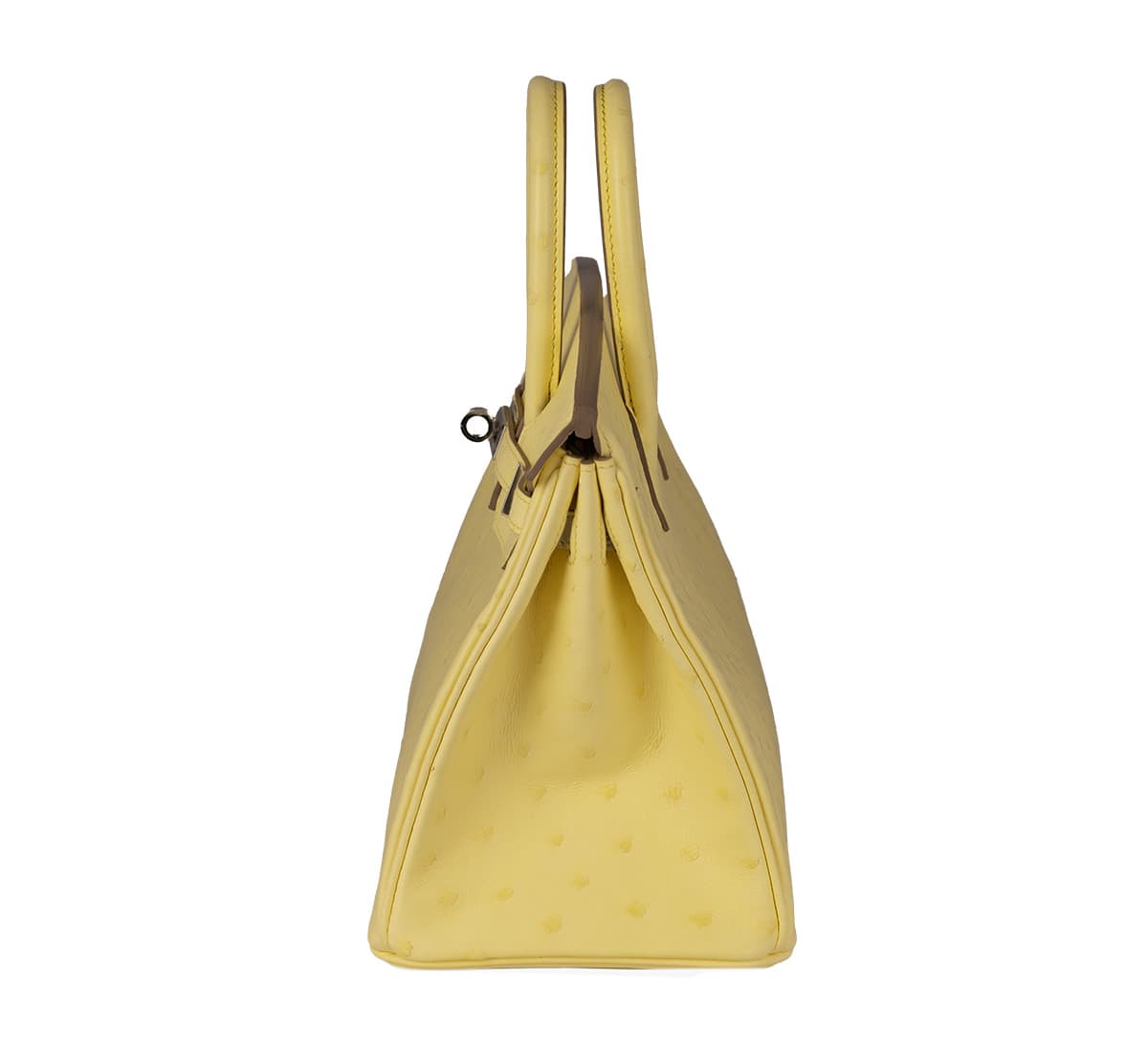 hermes-birkin-25-limoncello-ostrich-side